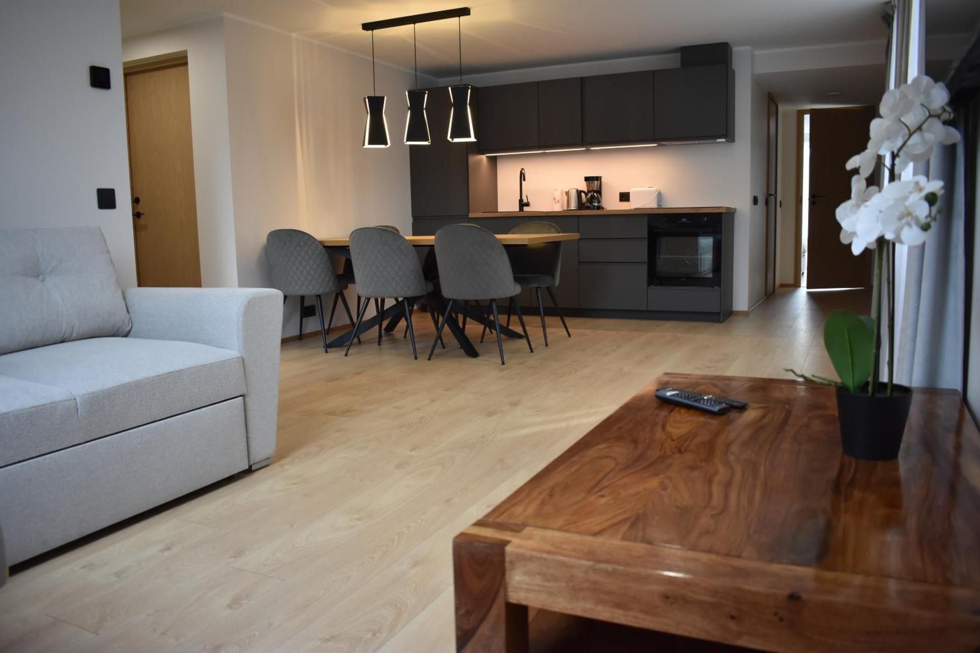 Deluxe Apartment