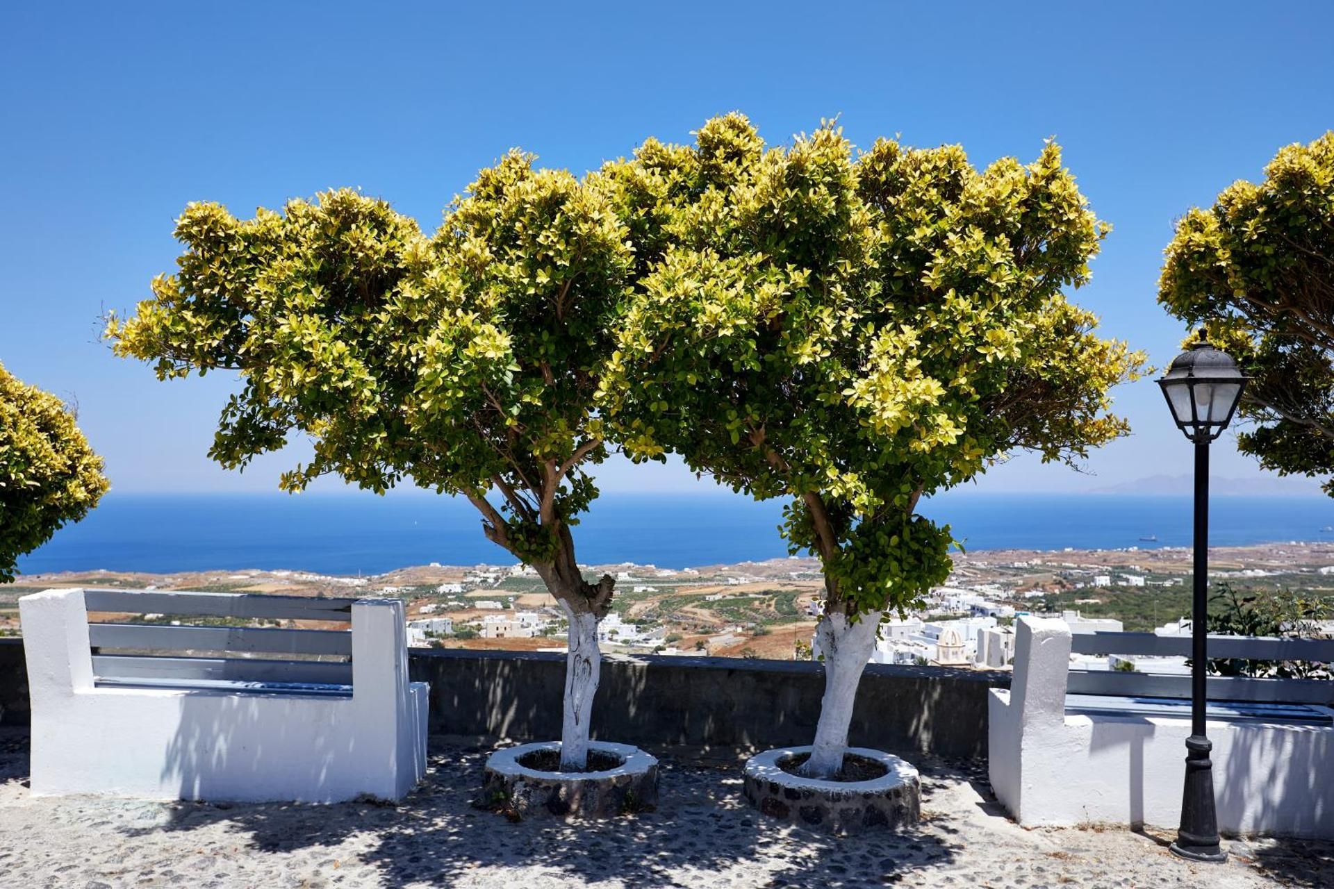 surrounding environment