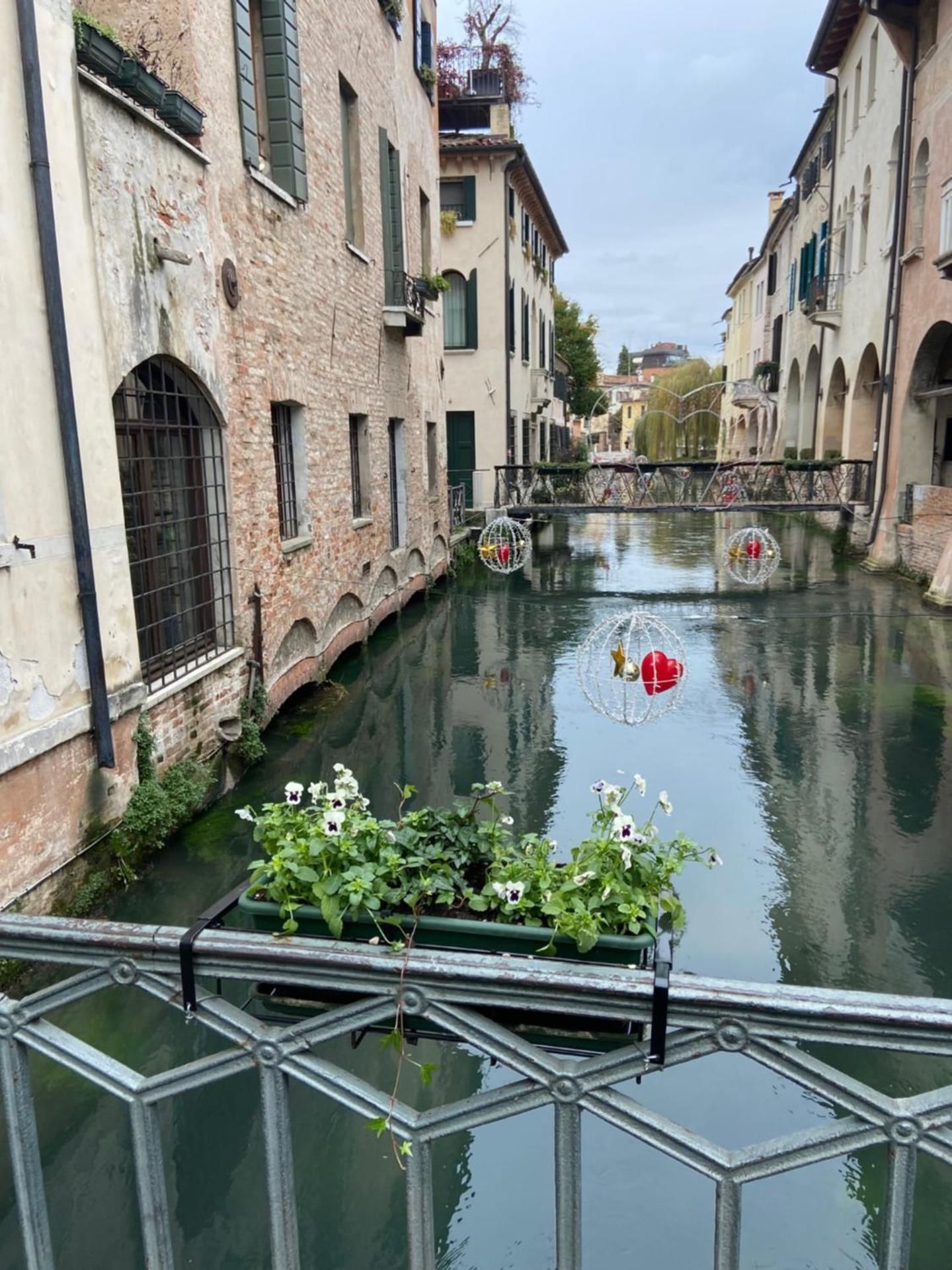 surrounding environment