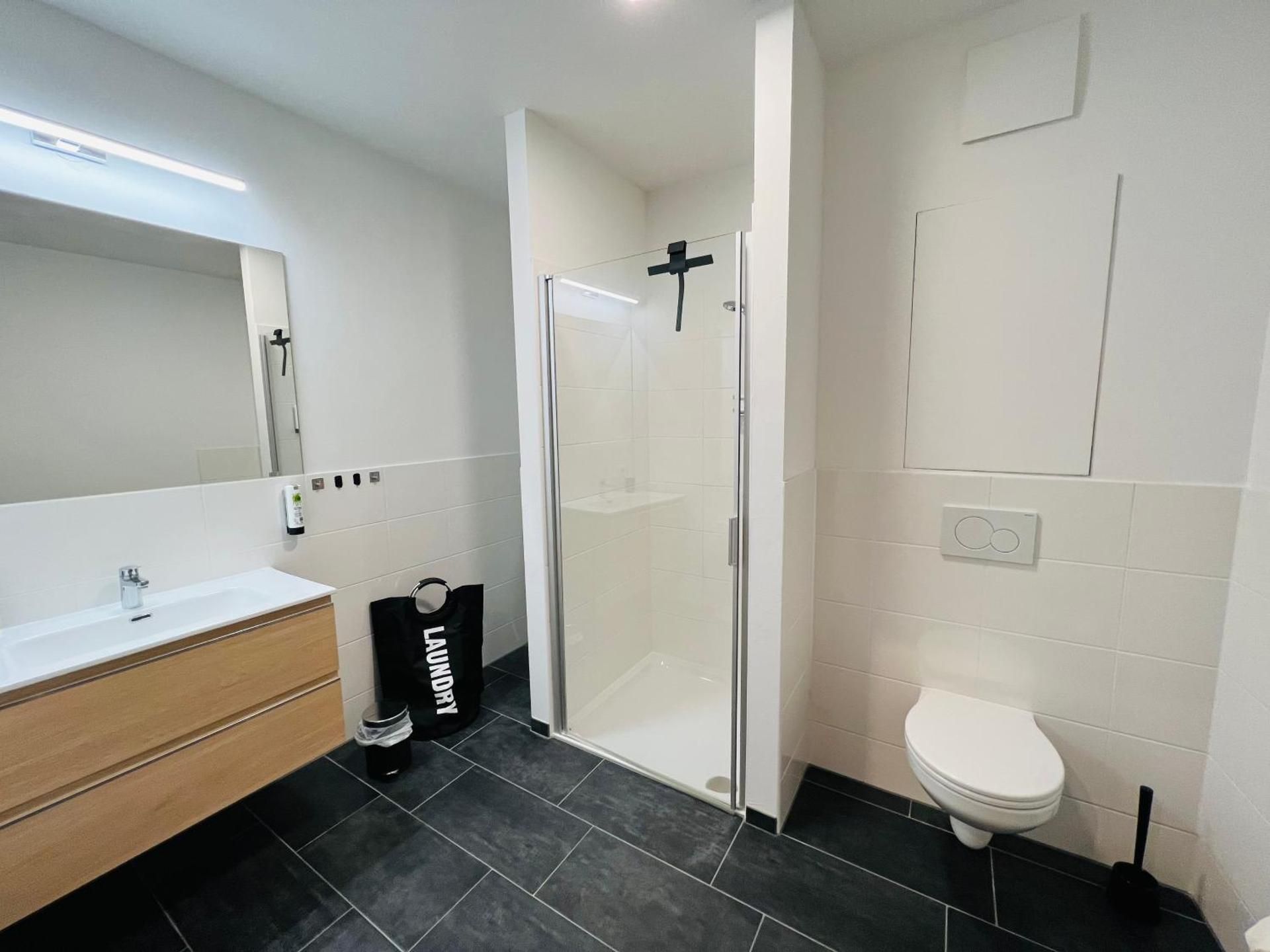 Deluxe One-Bedroom Apartment