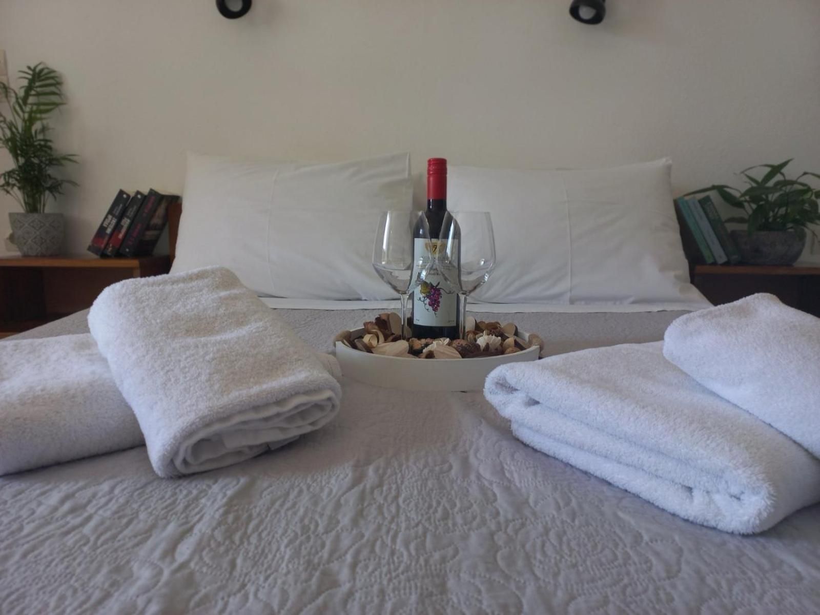 Studio (3 Adults)- Double and Single Bed