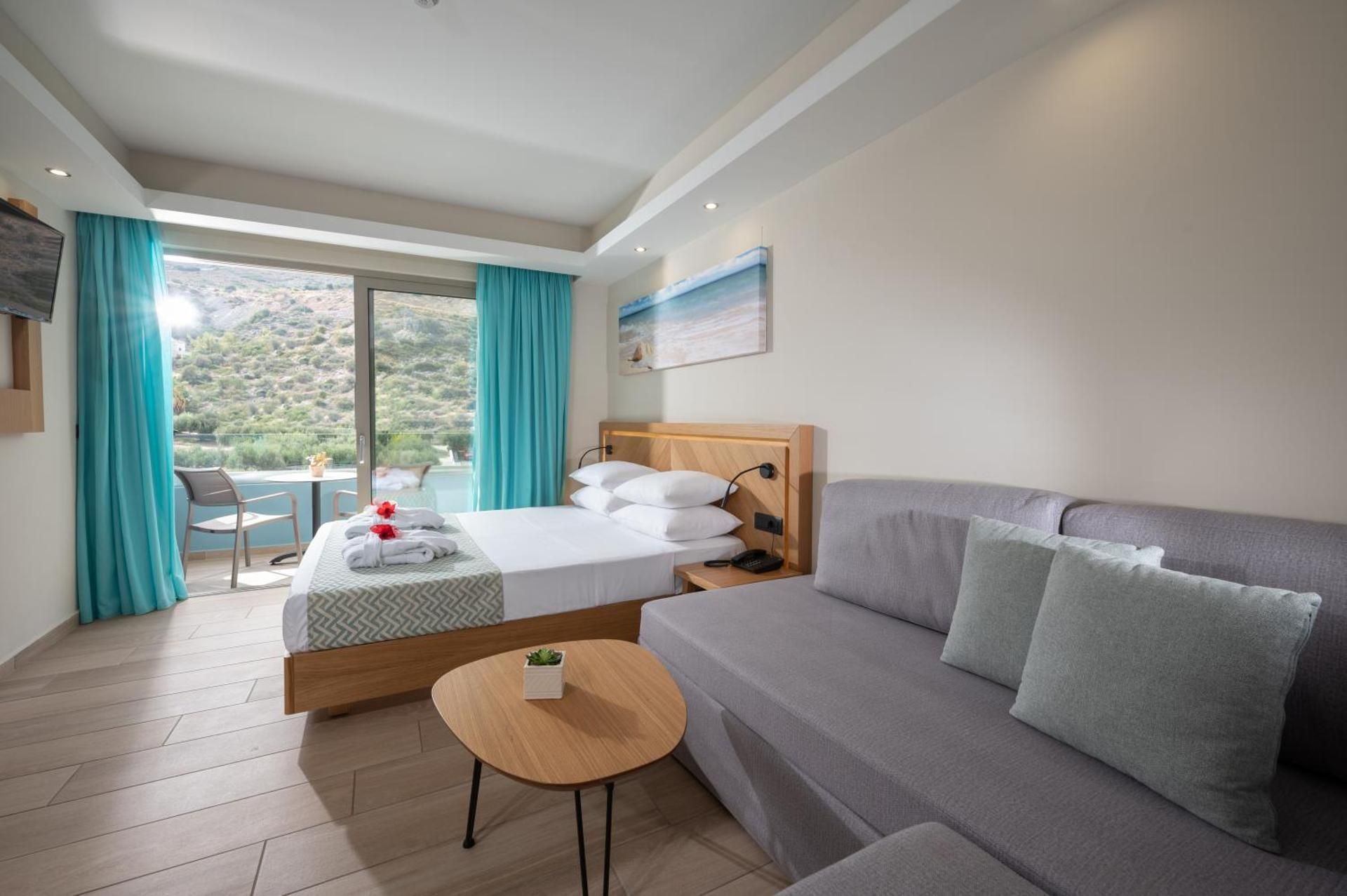 Superior Room with Land View