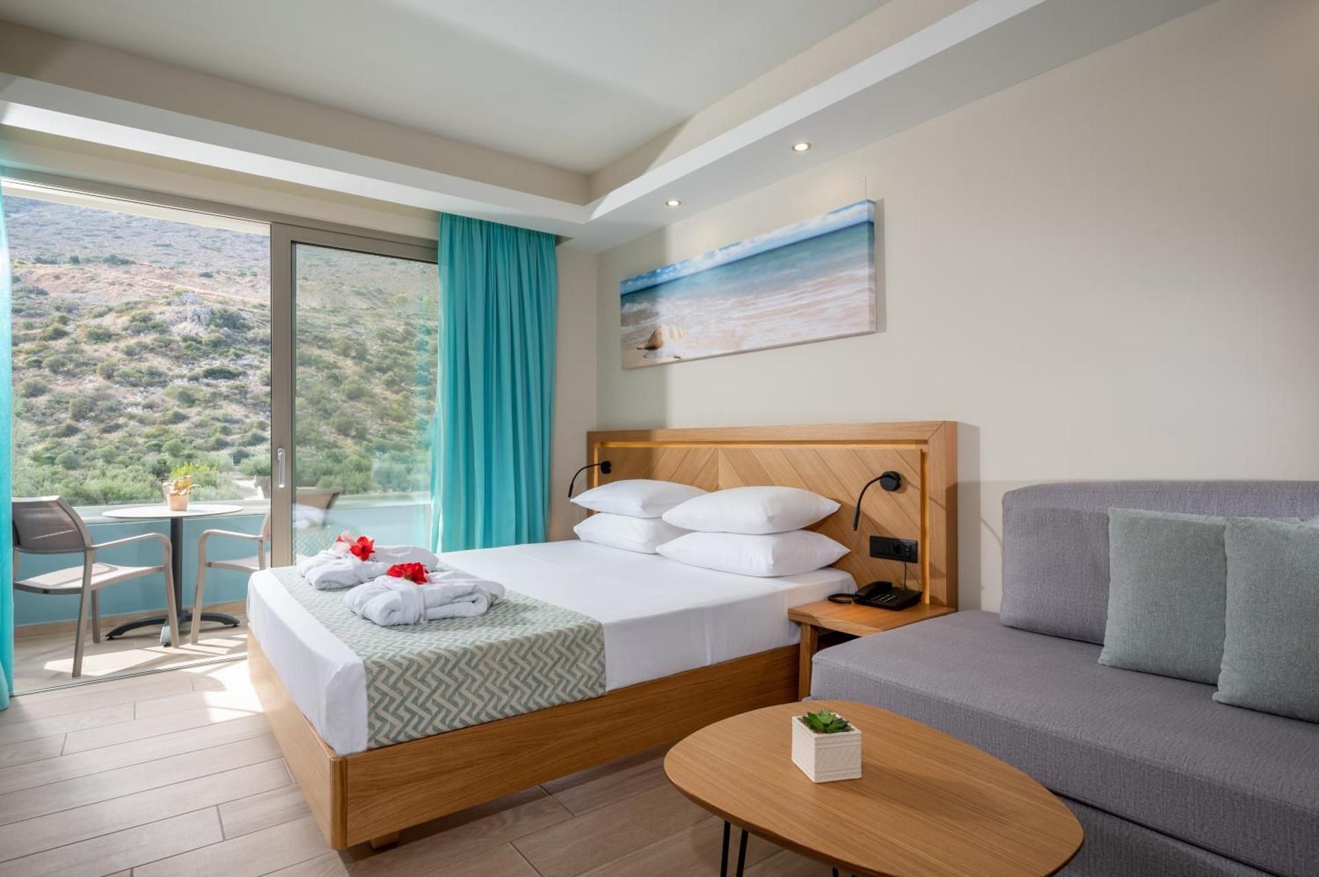 Superior Single Room With Land View