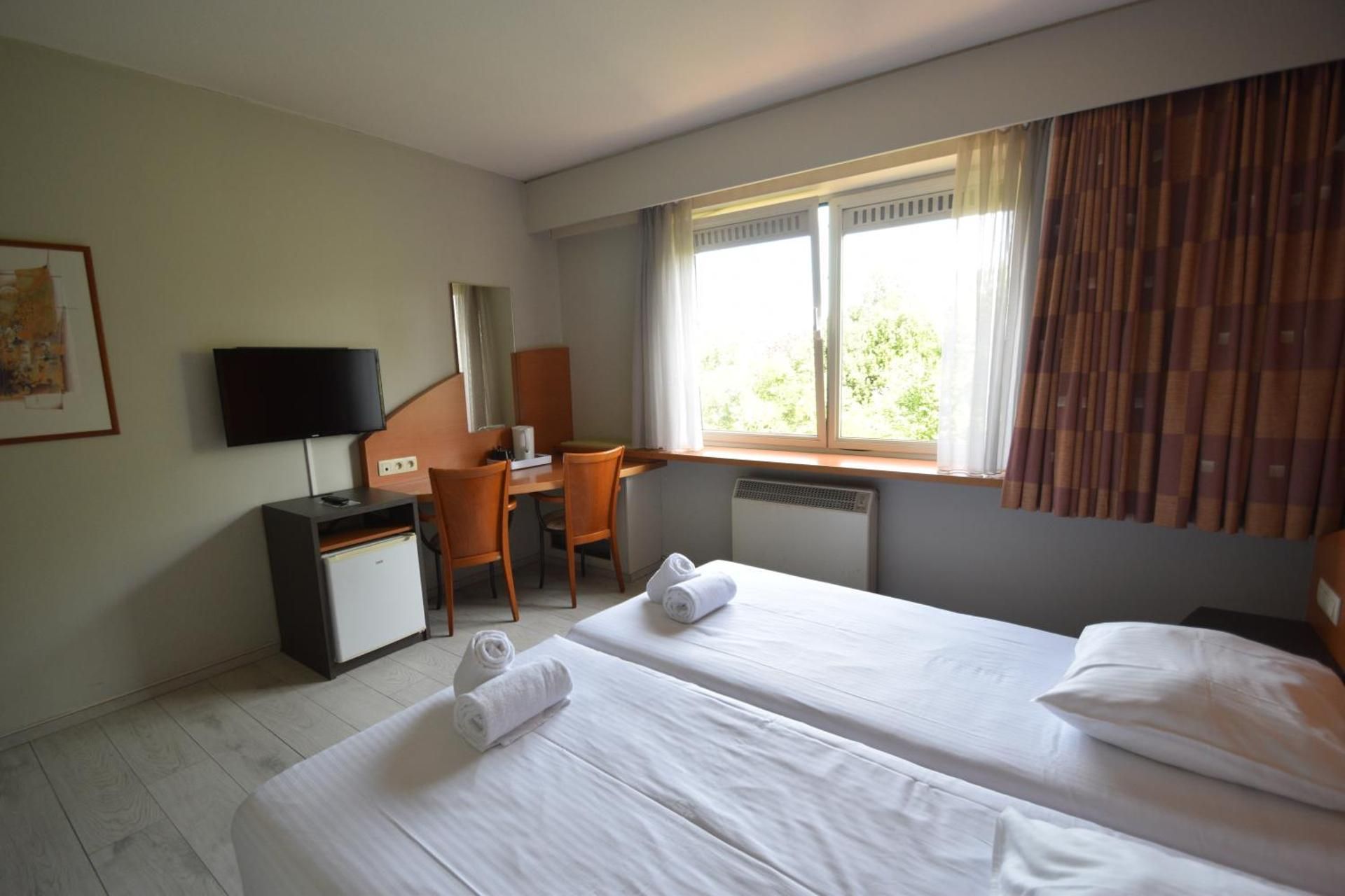 Executive Room Twin with daily cleaning