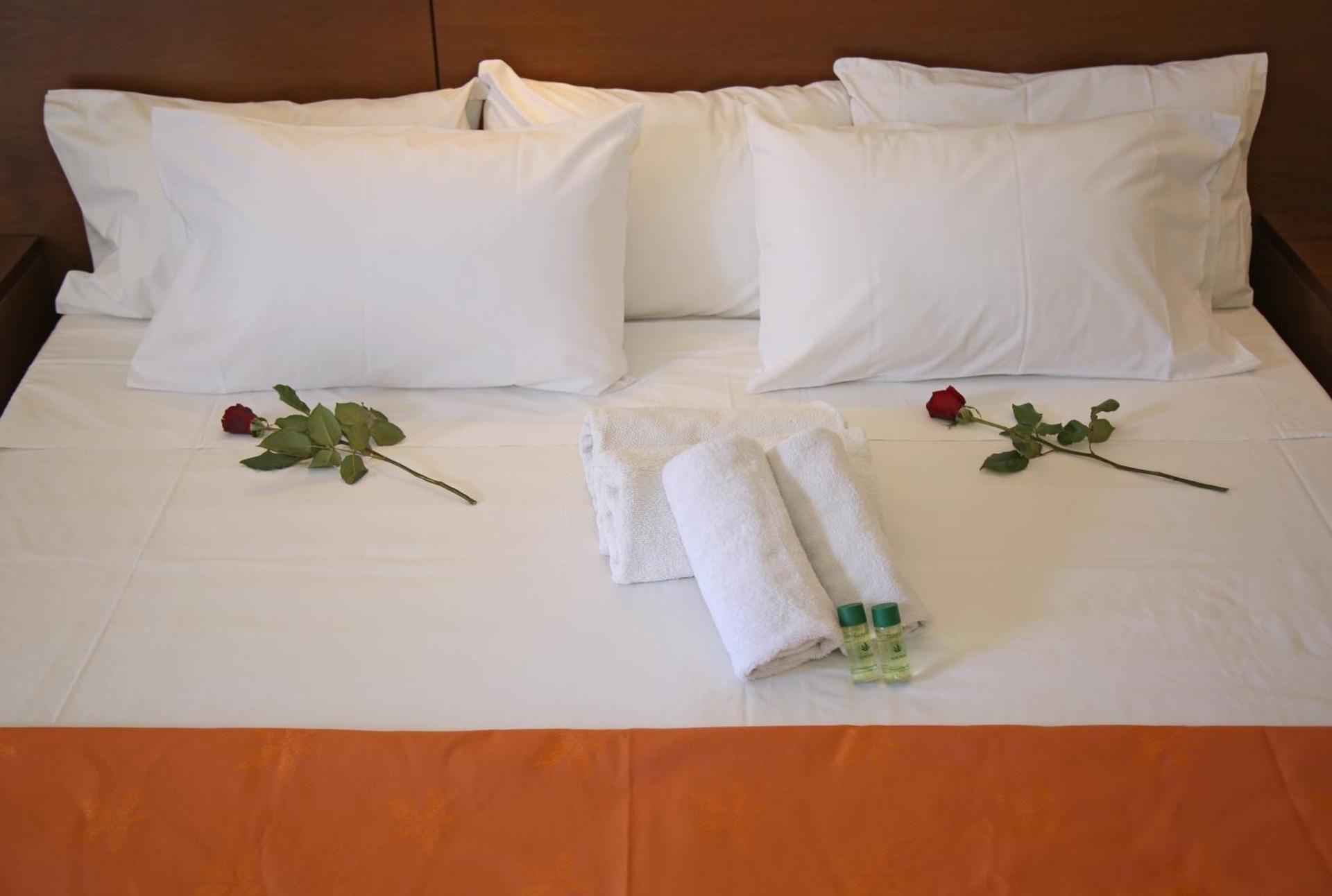 Deluxe Double or Twin Room with City View