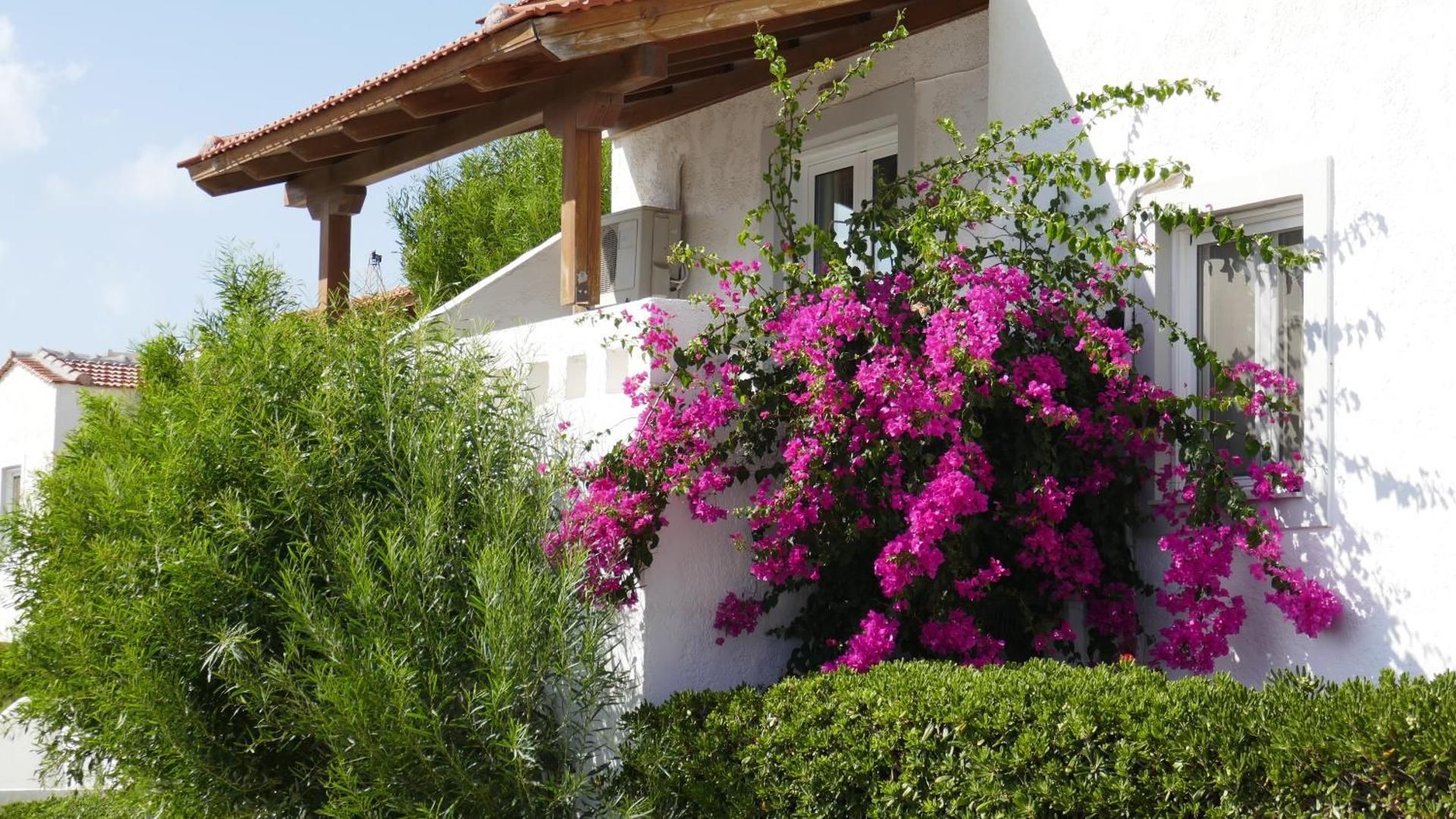 Castri Village