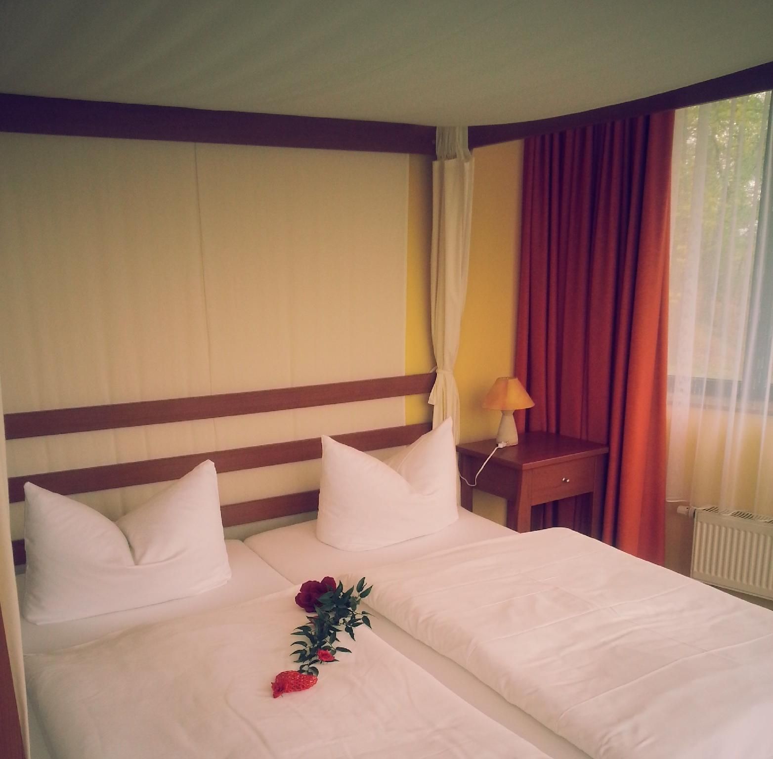 Comfort Double Room (dogs not allowed)