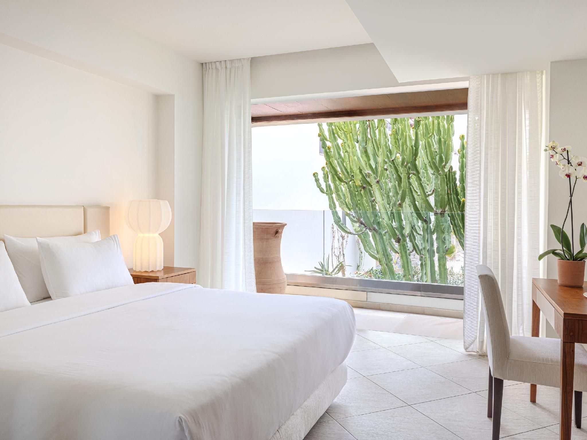 2 Bed Room Family Suite