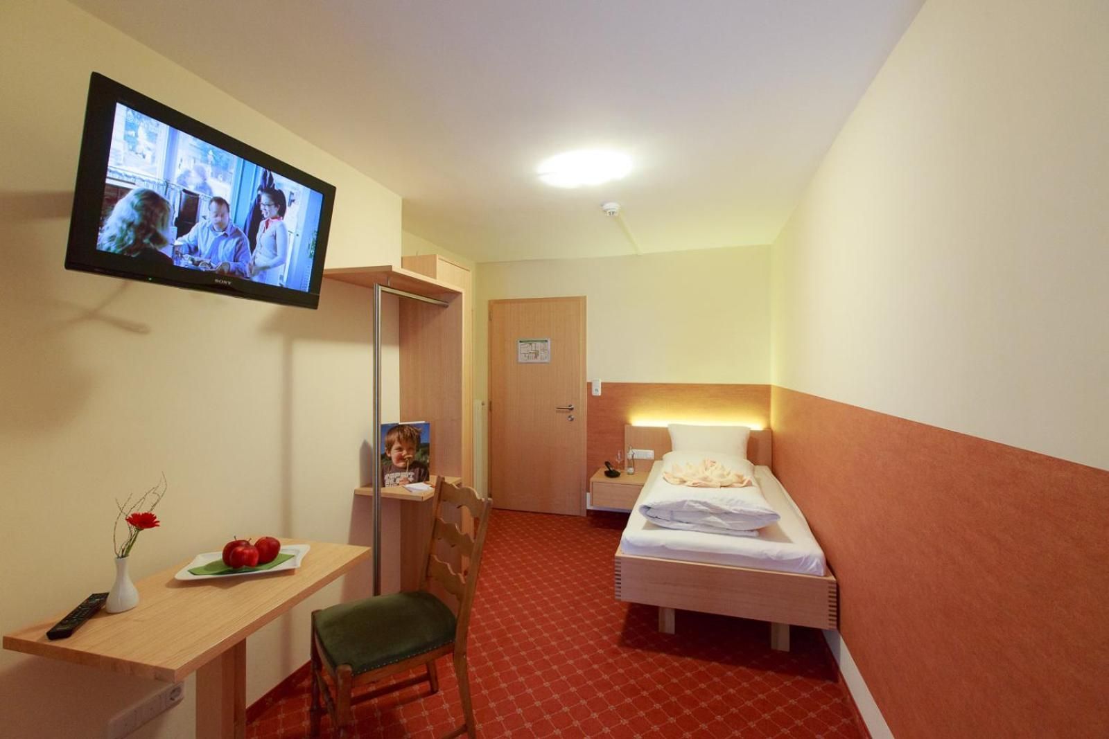 Single Room with Mountain View