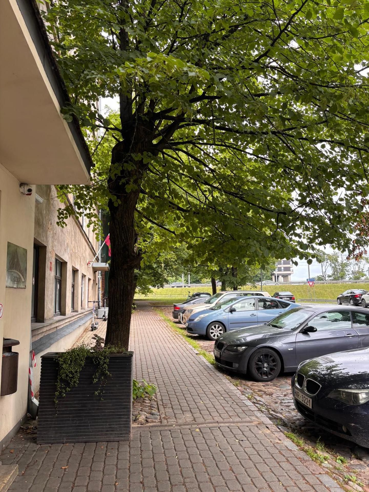 surrounding environment