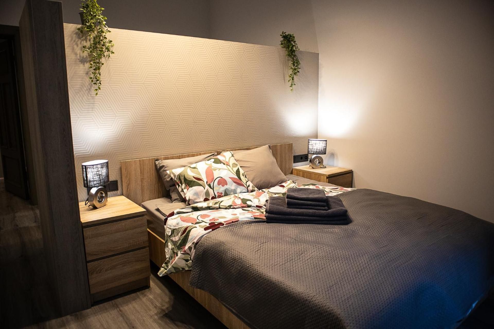 Deluxe One-Bedroom Apartment