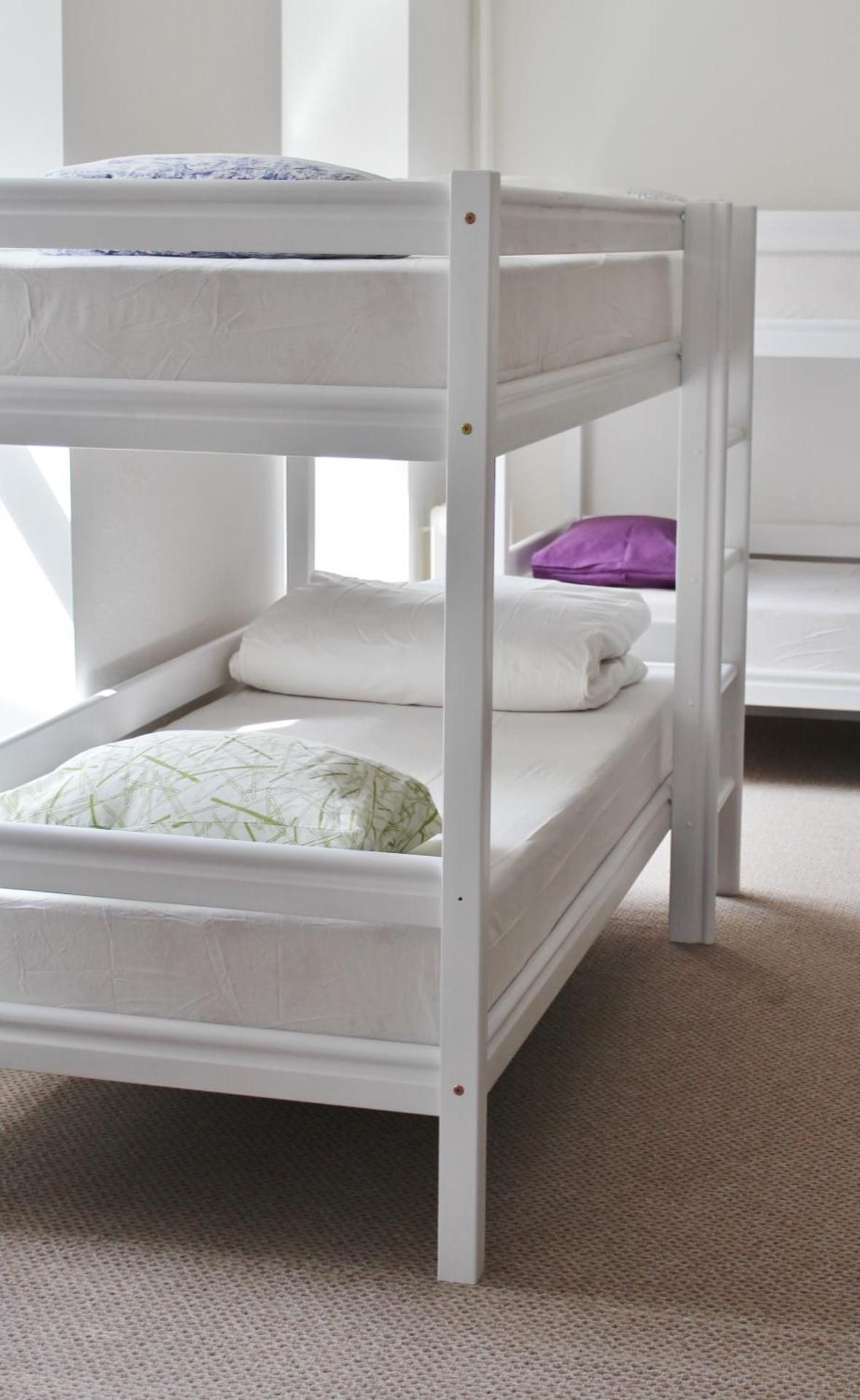 Bunk Bed in 6-Bed Female Dormitory Room