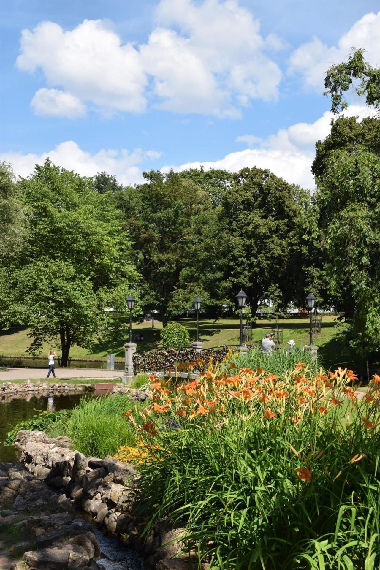 surrounding environment