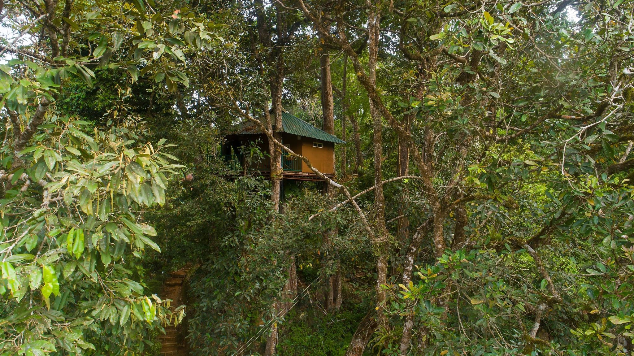 undefined Ela Ecoland Nature Retreat 6