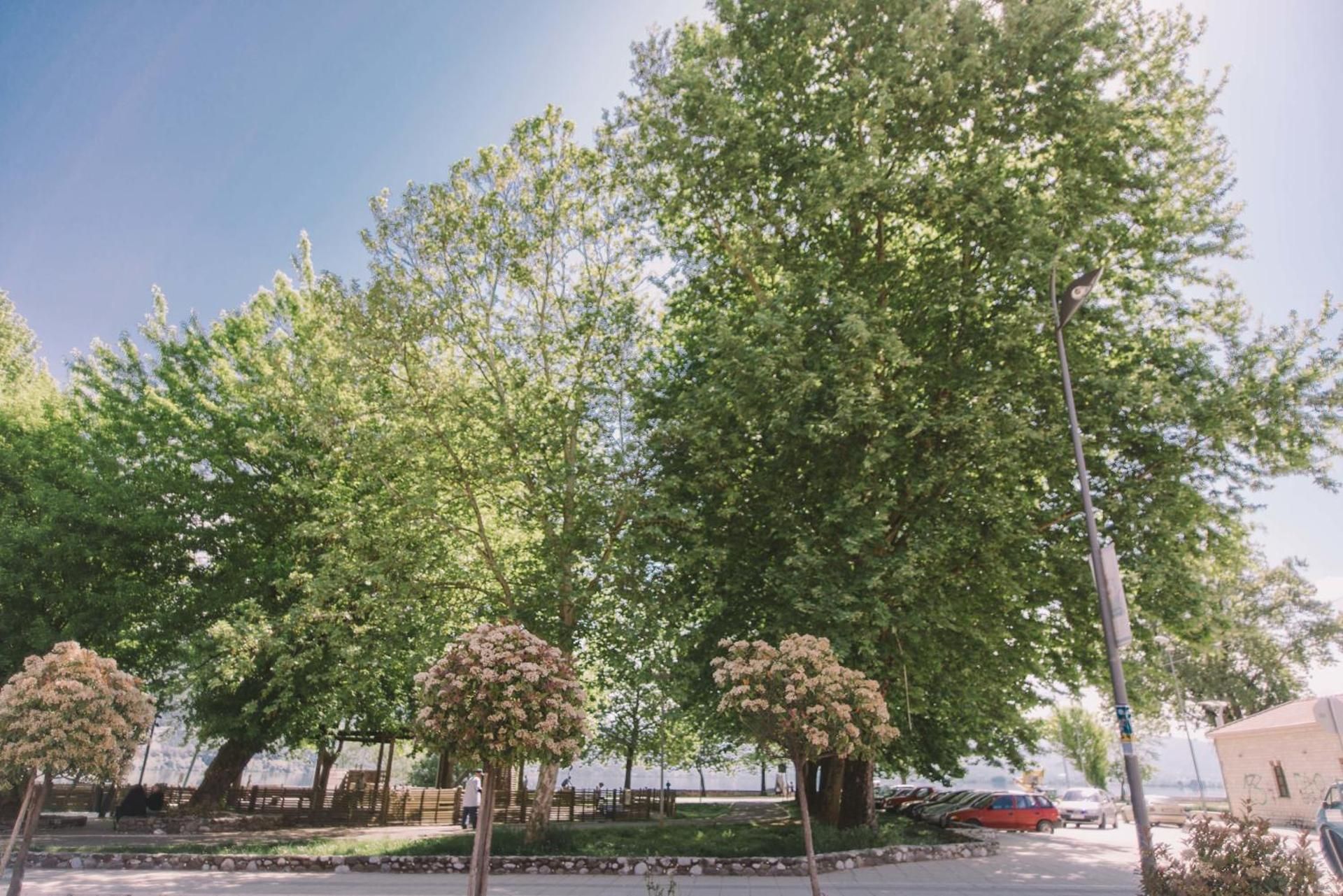 surrounding environment