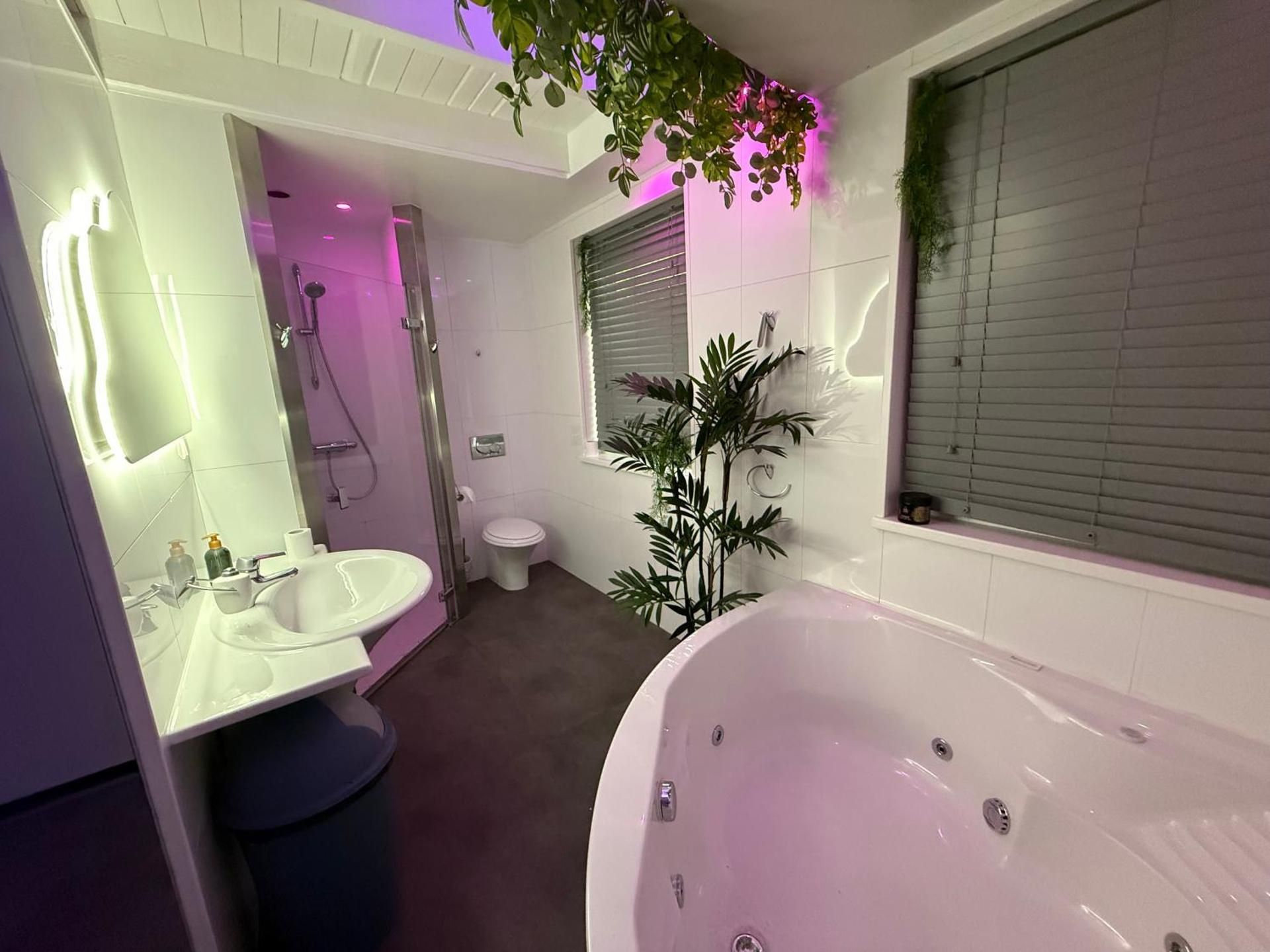 King Room with Spa Bath S2