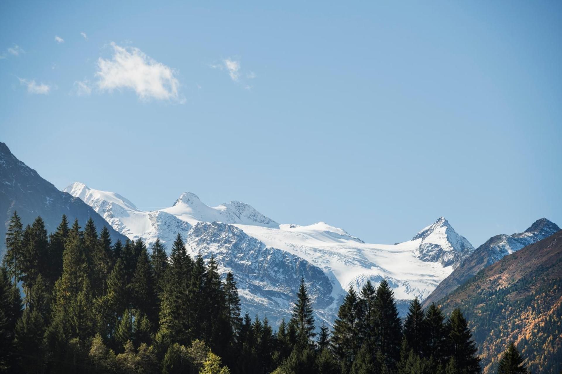 Standard Double Room with Mountain View