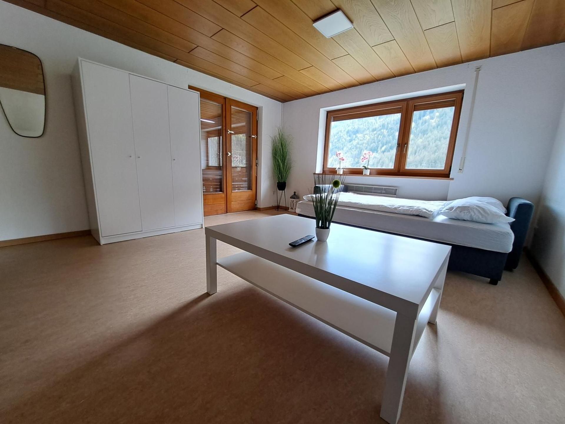 Apartment with Mountain View