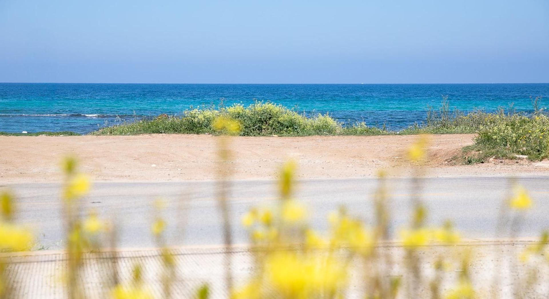 surrounding environment