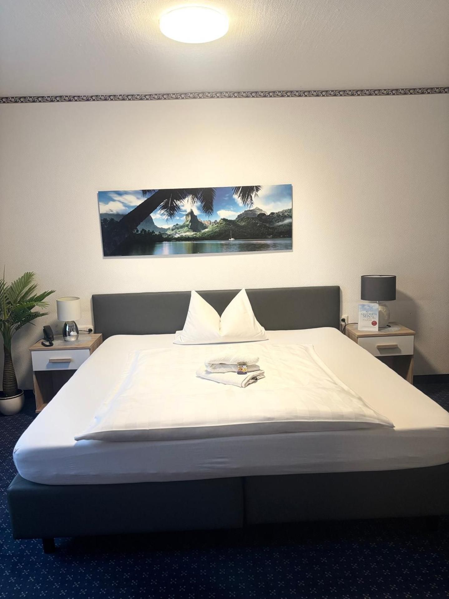Deluxe Single Room
