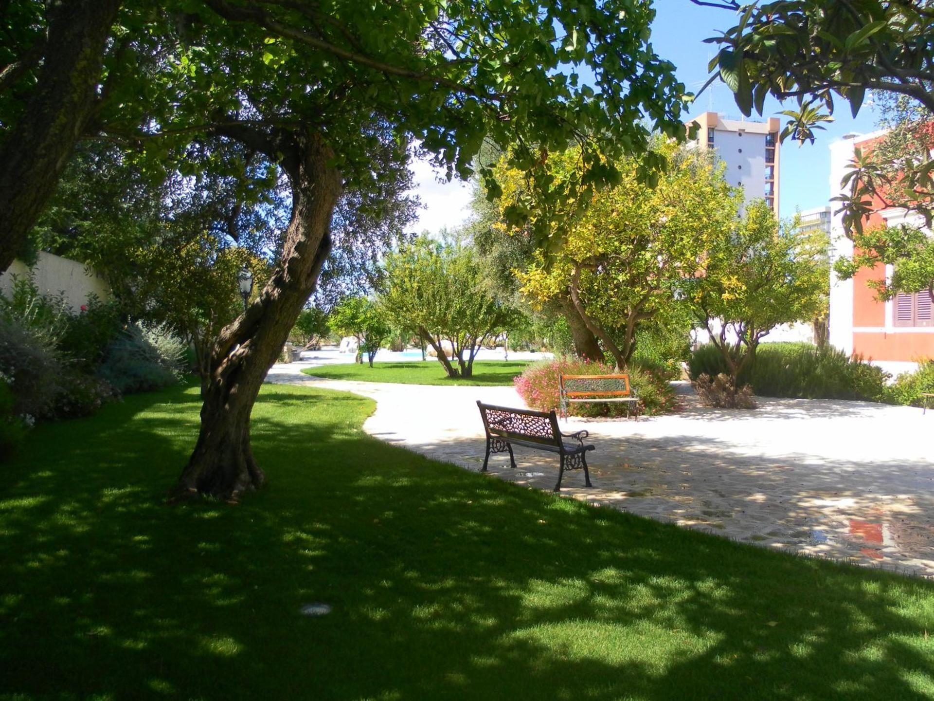 garden