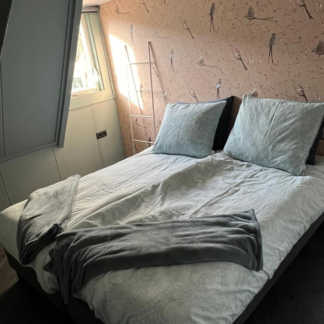 Superior Deluxe Double or Twin Room 