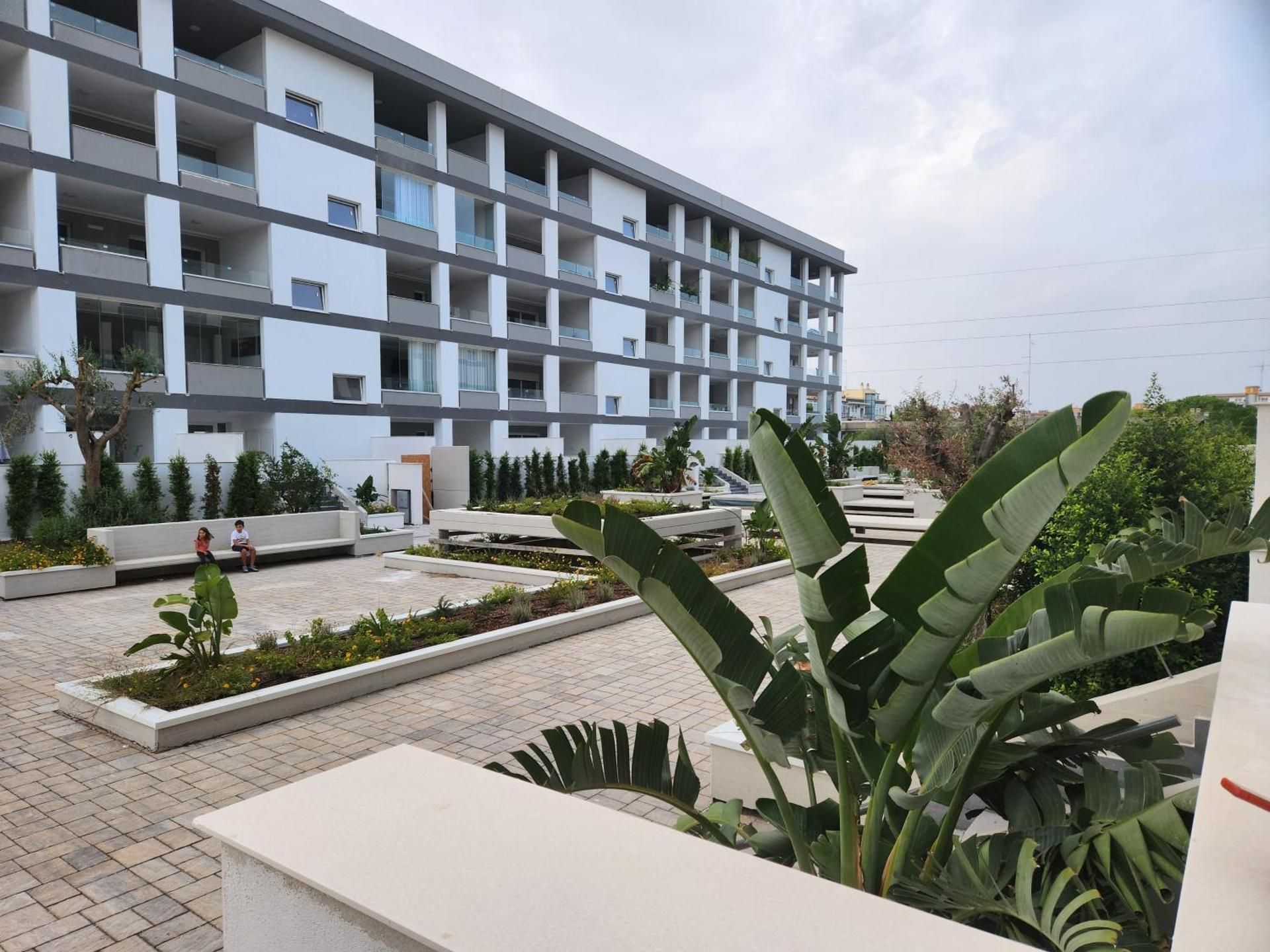 Vincotto's home garden