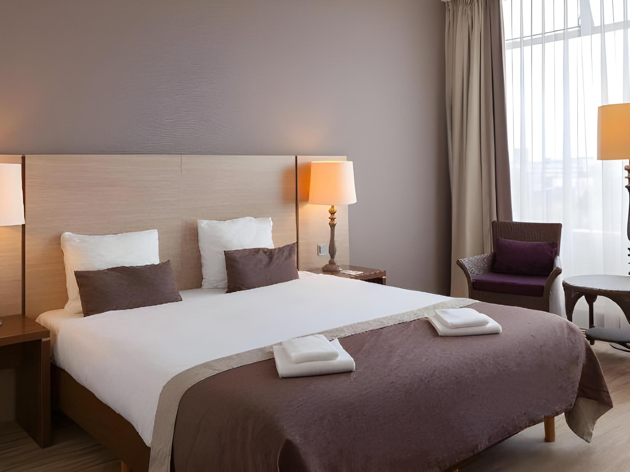 1 King Bed, NonSmoking, Deluxe Room