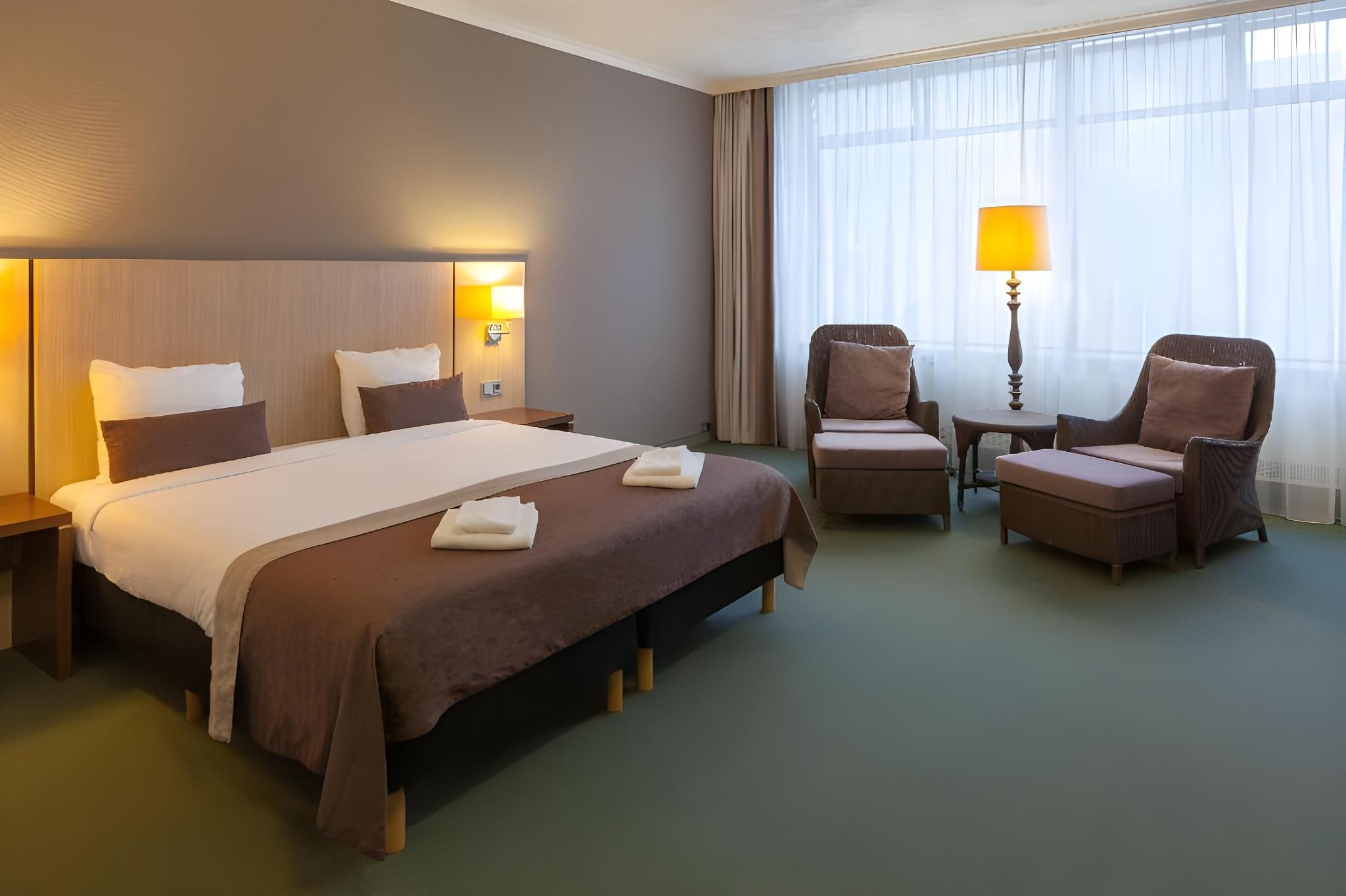 1 King Bed, NonSmoking, Superior Room