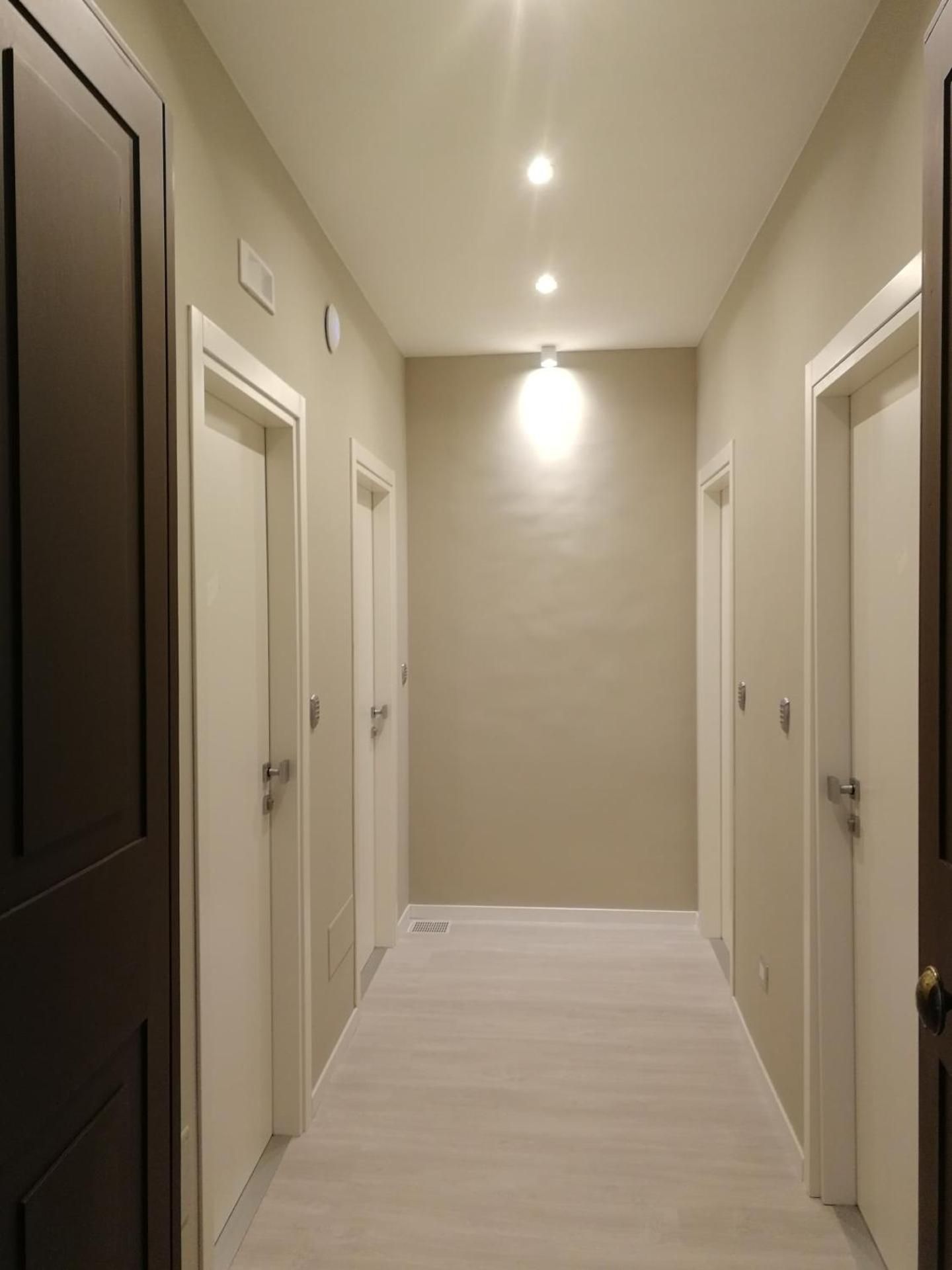 Gatto Bianco Duchessa