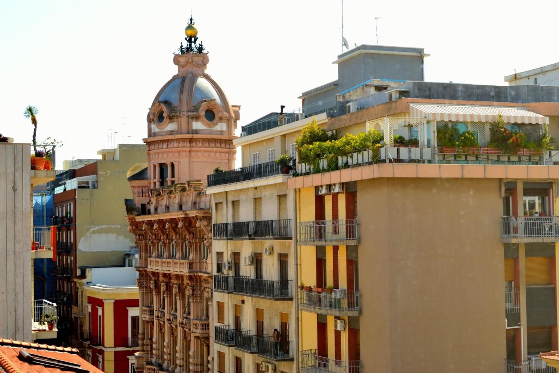 Gatto Bianco le Dimore