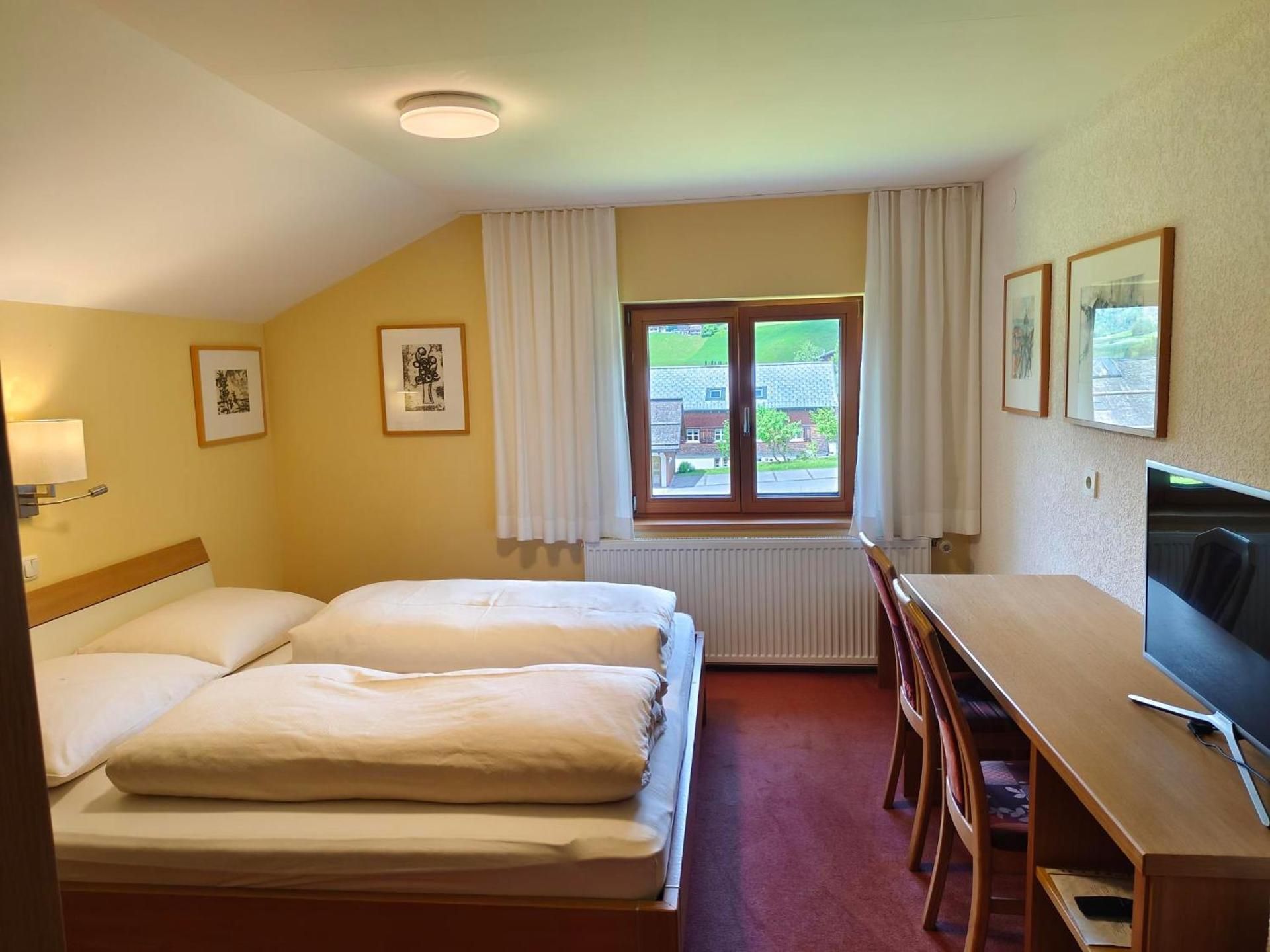 Double Room with Mountain View