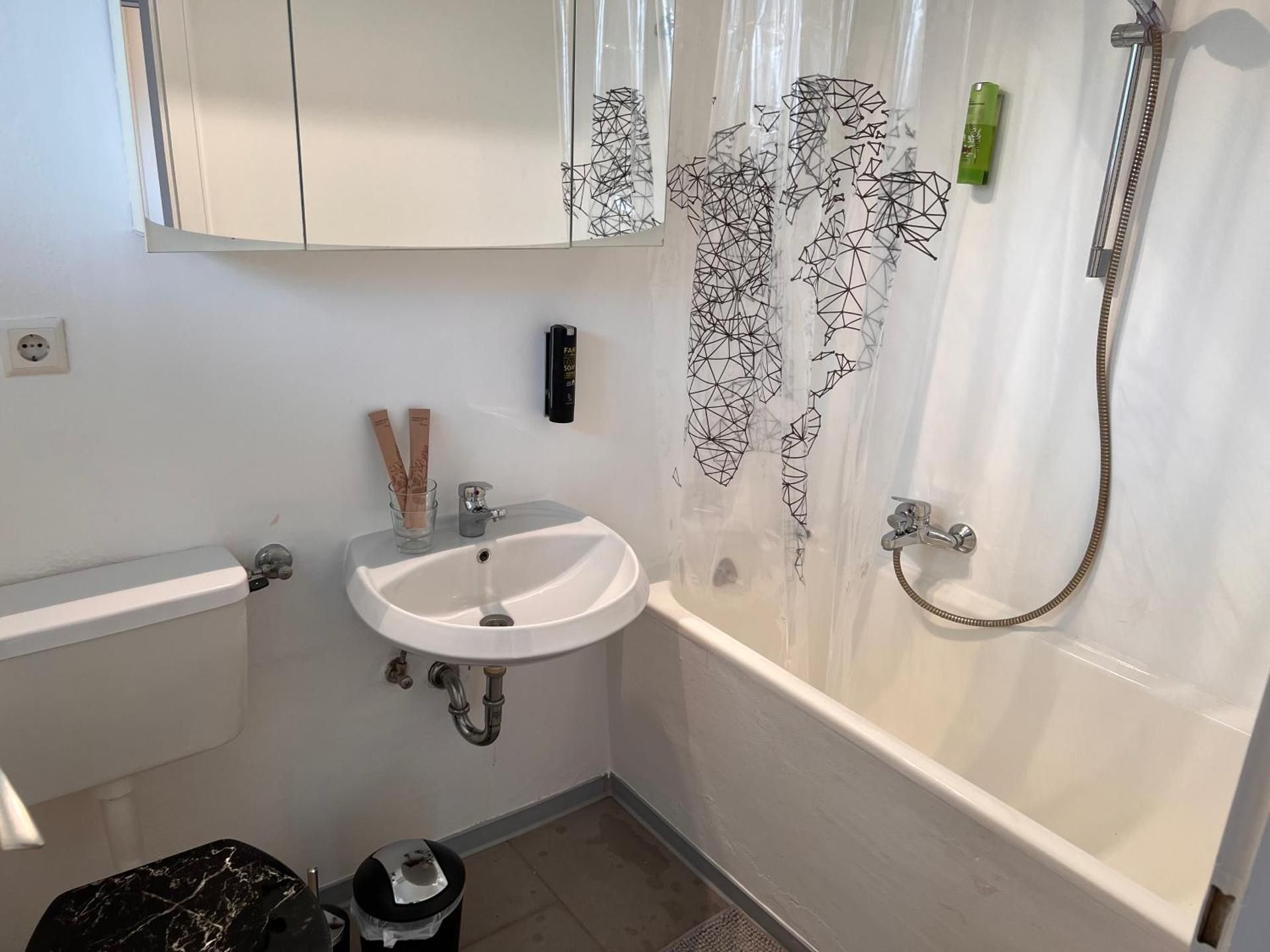 One-Bedroom Apartment 1