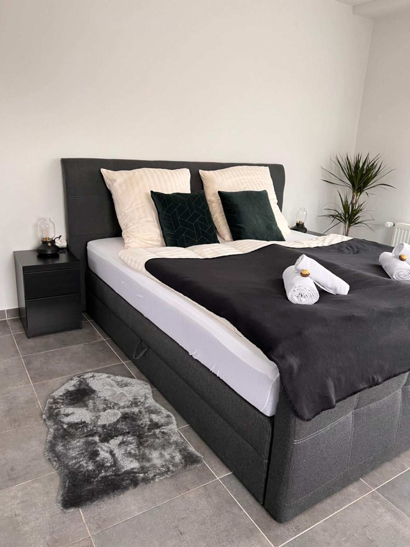 One-Bedroom Apartment 3