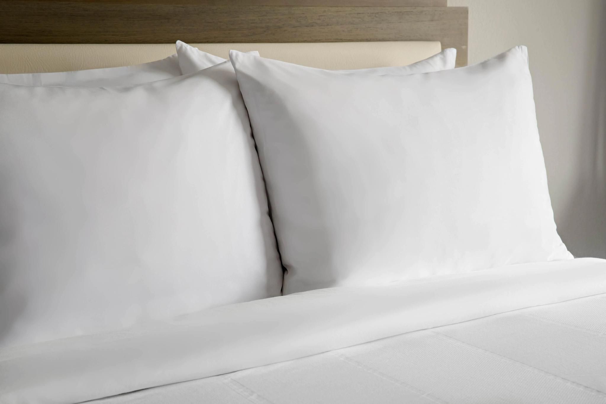 Moxy Family, Larger Guest room, 1 Queen, Sofa bed
