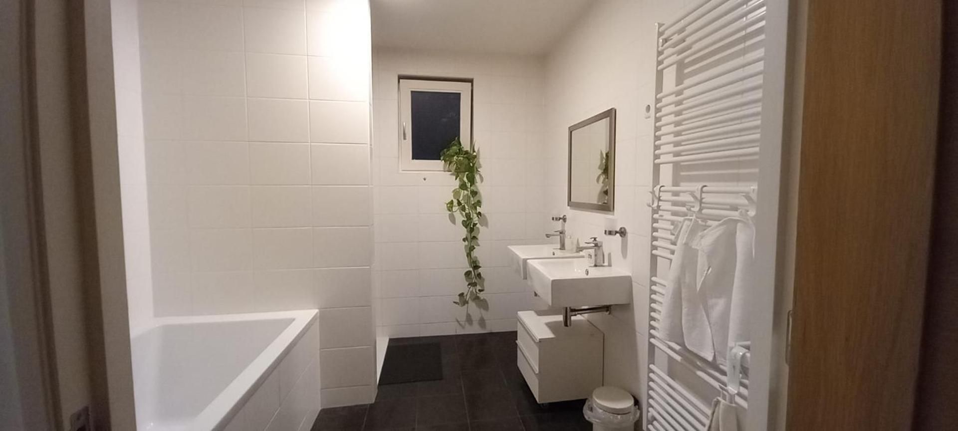 King Room with Garden View