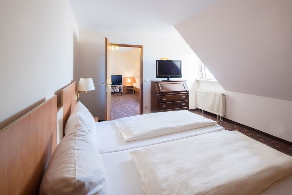 Basic Triple Room