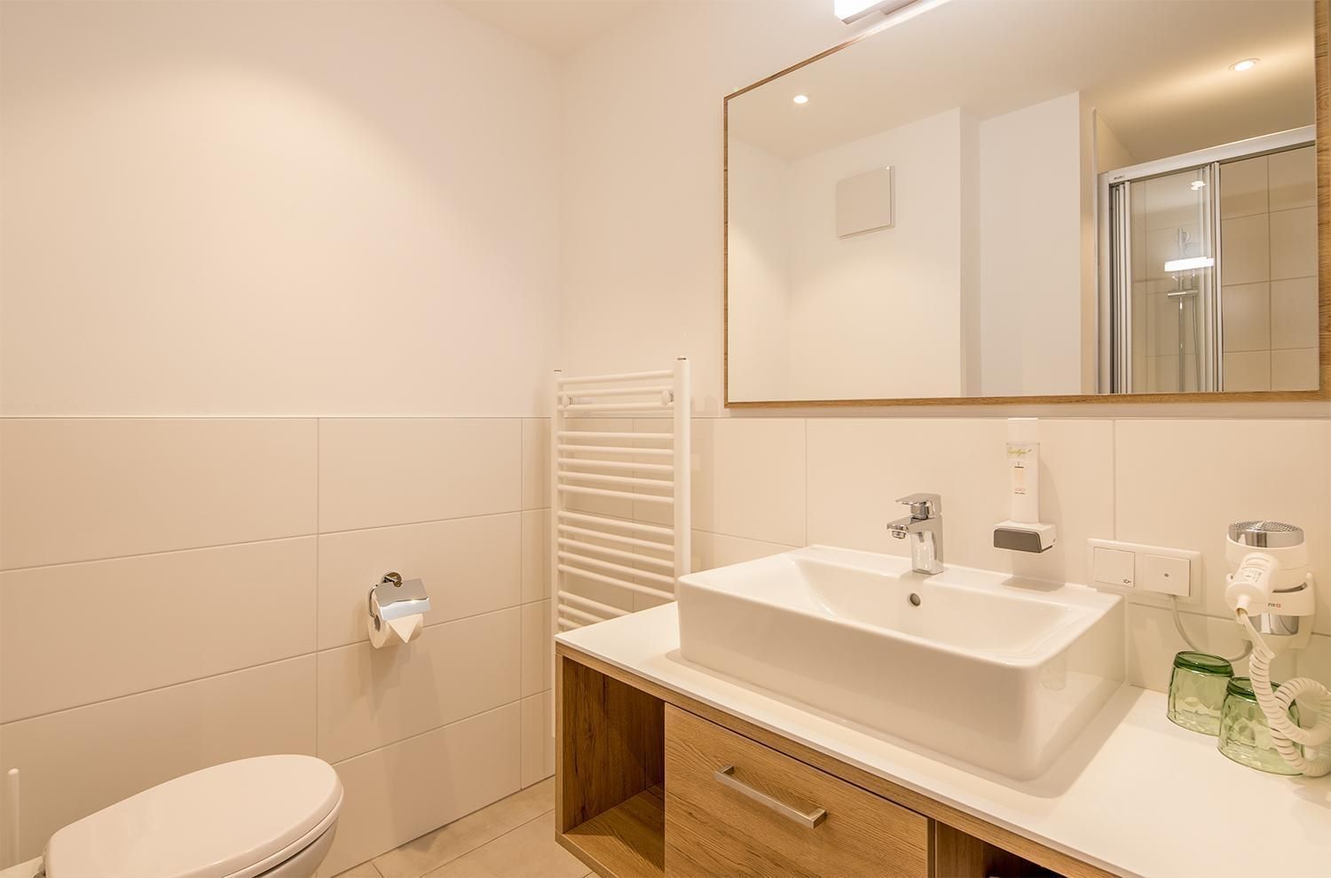 Double or Twin Room without Balcony