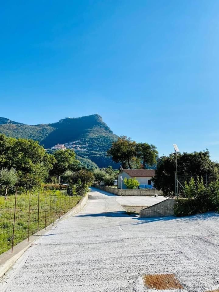 surrounding environment