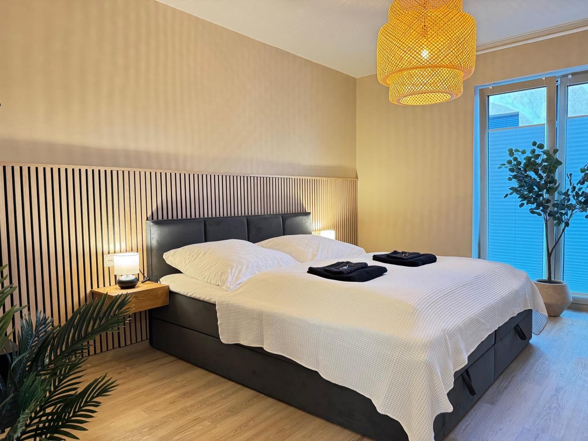 Deluxe One-Bedroom Apartment