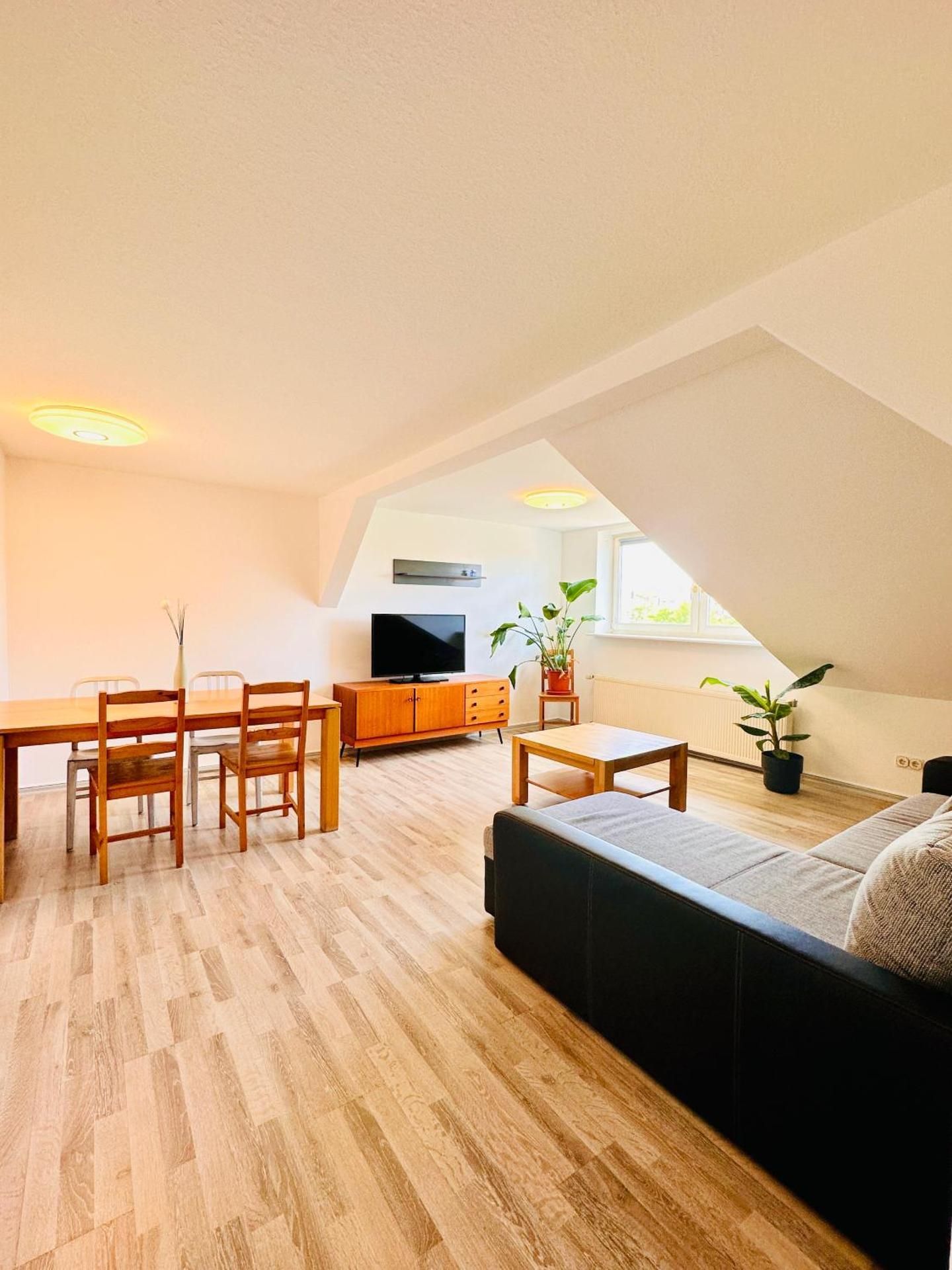 Penthouse Apartment