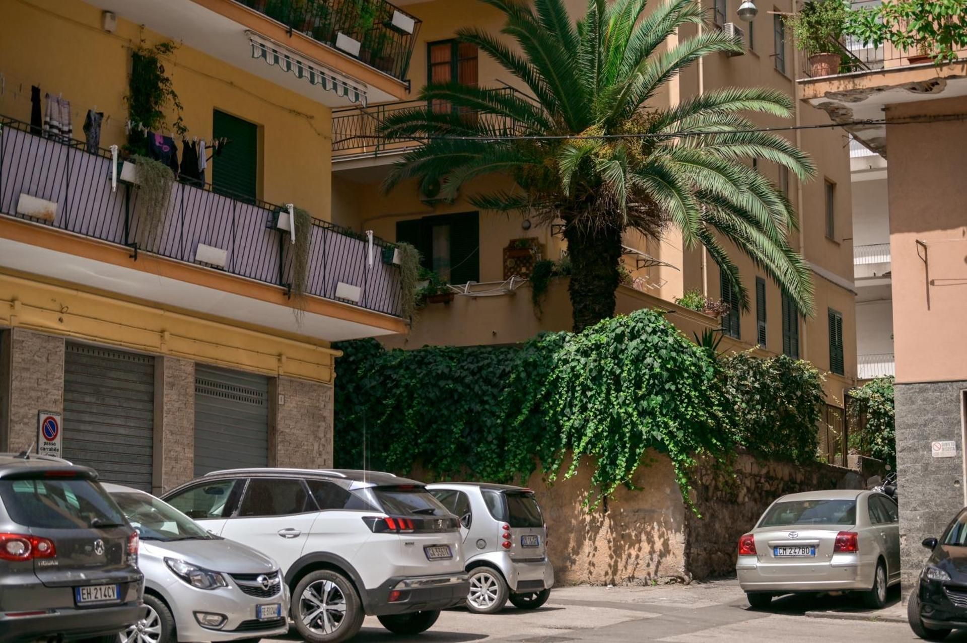 surrounding environment