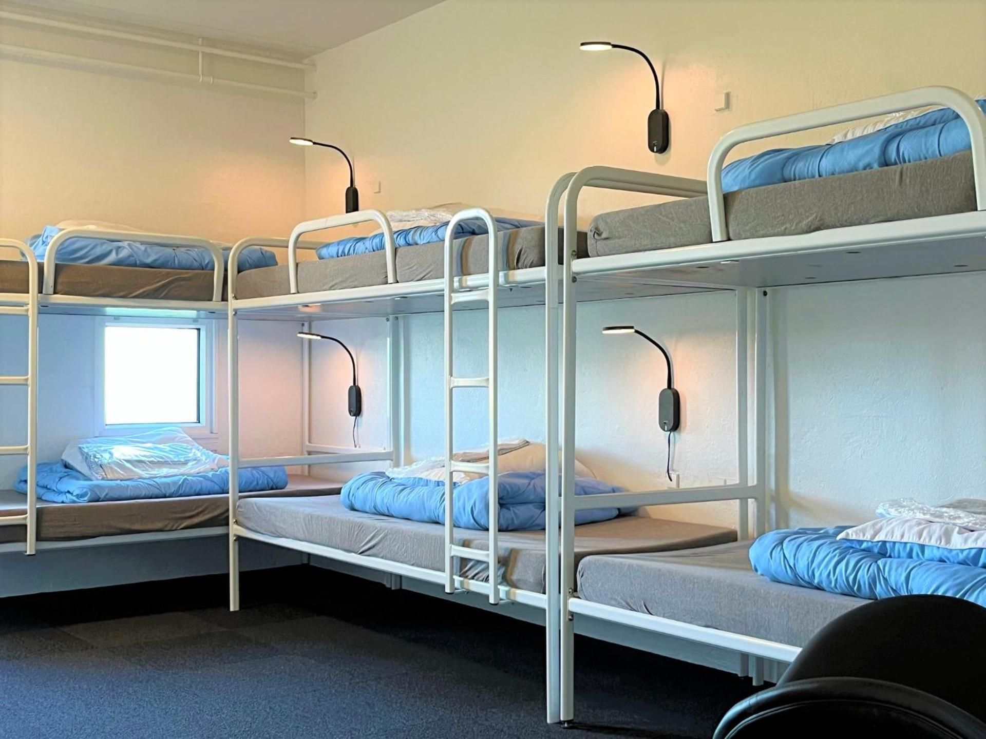 Bed in 8-Bed Dormitory Room
