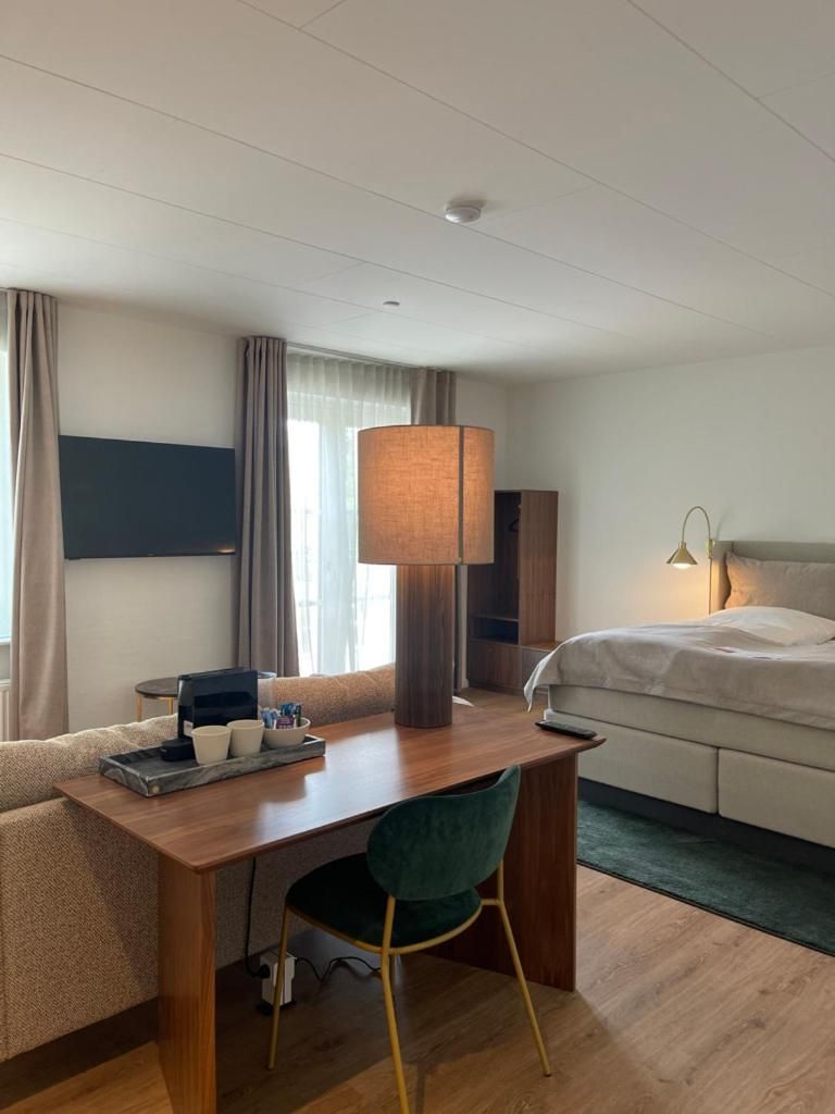 1 King Bed, Nonsmoking, Premium Room, Sofabed, Sitting Area