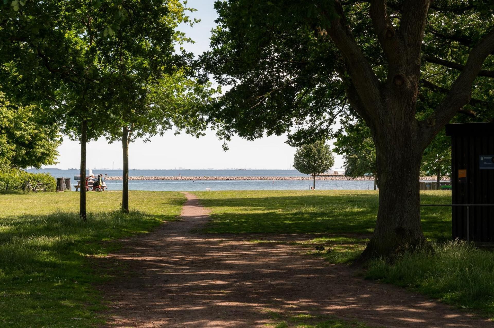 surrounding environment