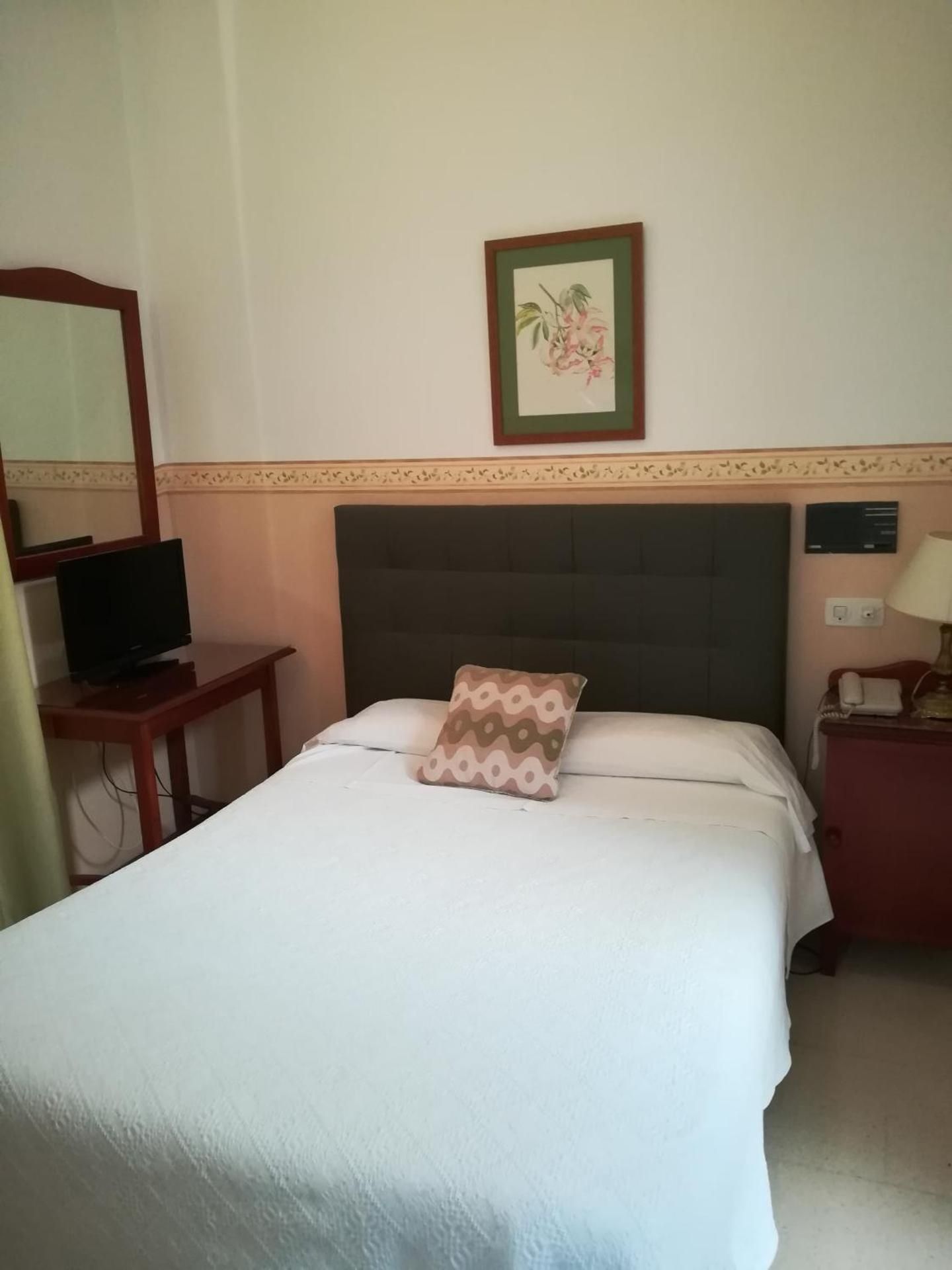 Superior Single Room