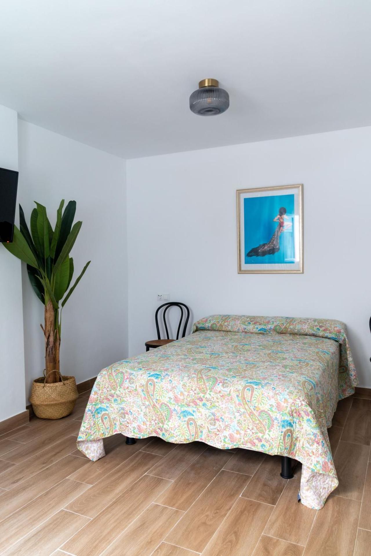 Apartment 5