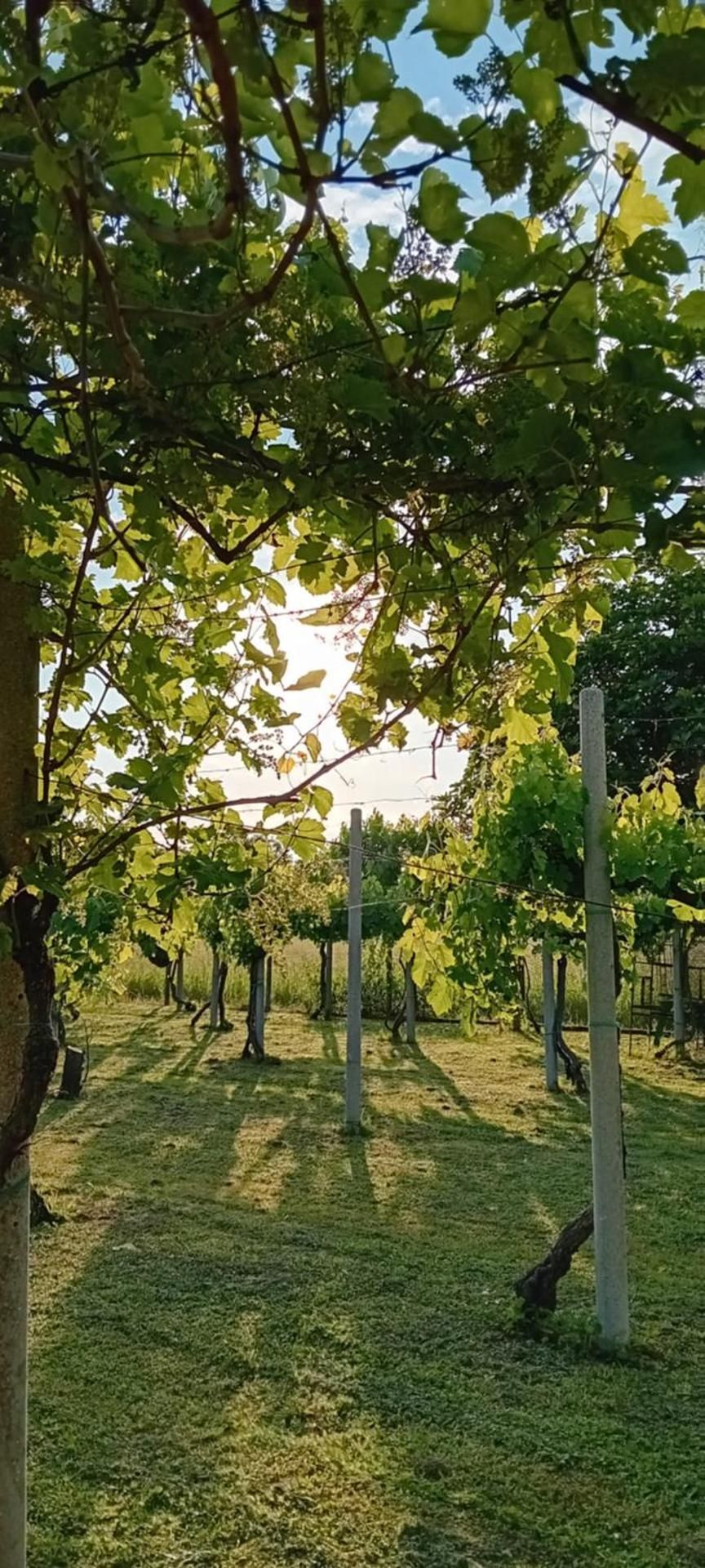 La Cjase di Pieri e Vilme