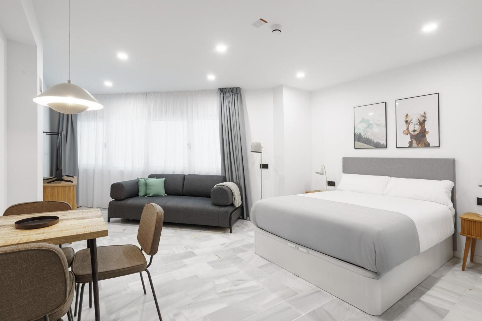 Studio with Sofa Bed (wheelchair accessible)