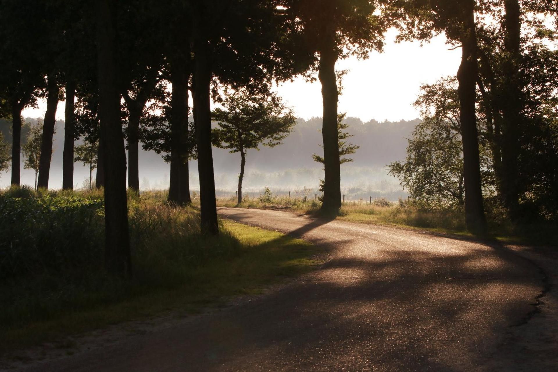 Bed & Breakfast Neeltje Soet
